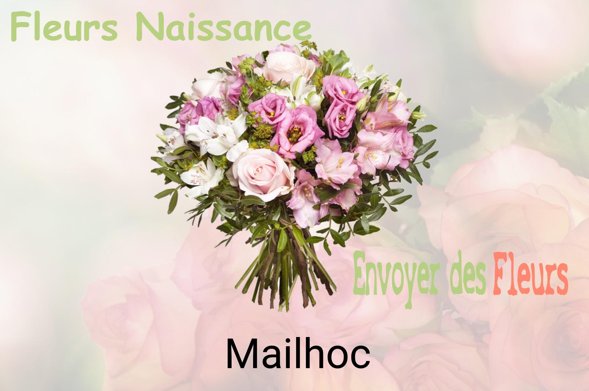 Bouquet de fleurs de naissance livré à Mailhoc